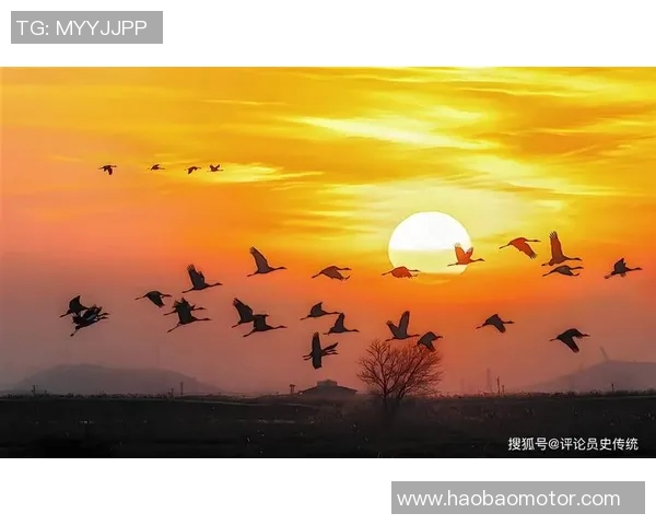 森霍：探索自然与科技交融的未来之路，重塑生态与人类的和谐共生